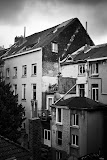 IMG_6255.jpg