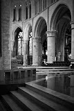 IMG_6417.jpg