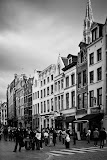 IMG_6462.jpg