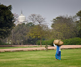 IMG_7692.jpg