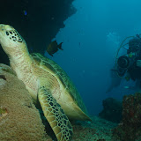 Watersports Guru Adventure Dives