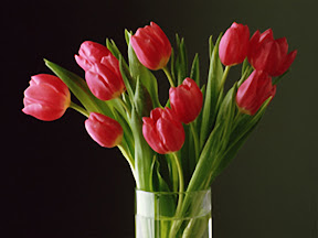 Enlarged Photo.jpg