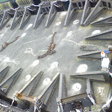 0_IMAGE_091-788573.jpg