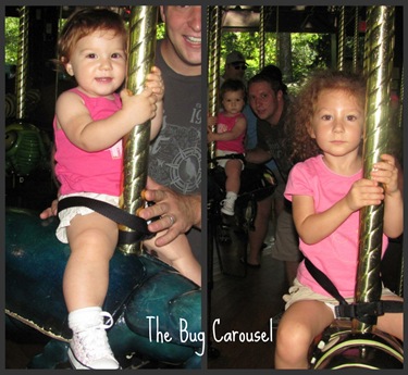 The Bug Carousel