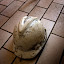 1DM24331A.jpg