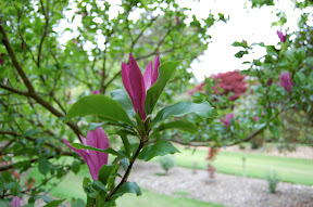 DSC_0174.7iIGFniUVkYM.jpg