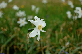 DSC_0249.Y84YSfvzrzf8.jpg
