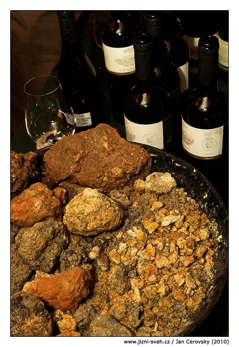 [strekov_terroir[5].jpg]