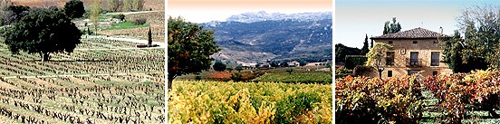 [vinice_rioja[6].jpg]