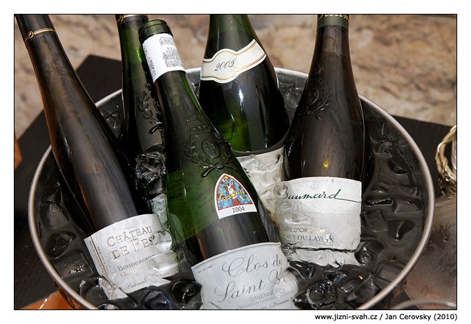 [chenin_blanc_1[6].jpg]