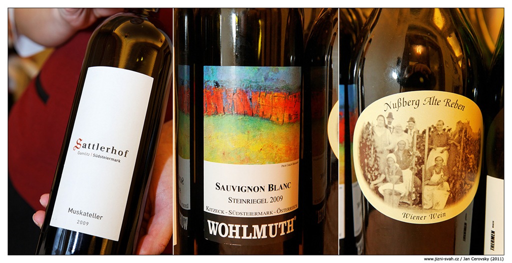 [muskateller_sauvignon_Gemis[4].jpg]