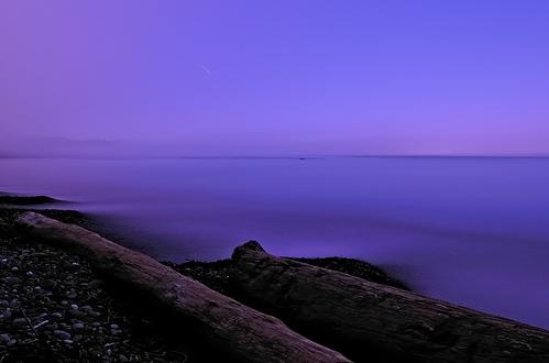 [flickr purple haze coastal mist-ery[2].jpg]