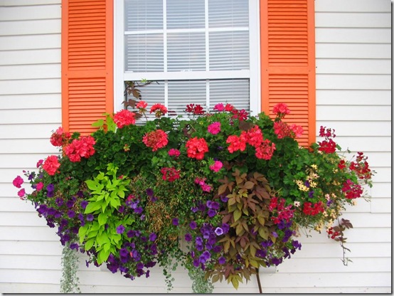 Front_window_box