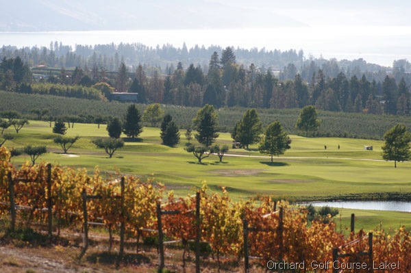 [IMG_5400-Okanagan-Lake-vine[15].jpg]