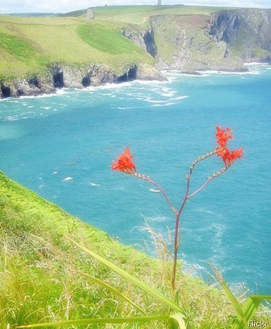 [waterireland7.jpg]