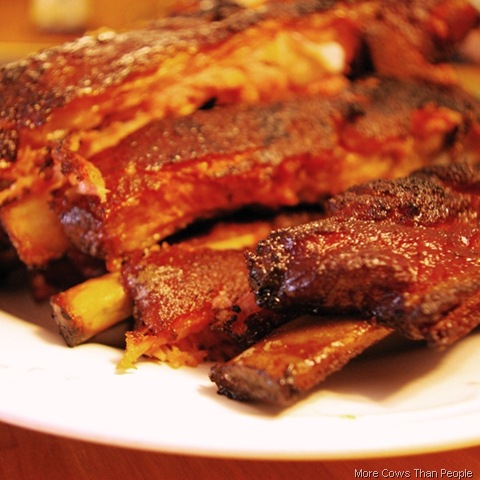 [bbqribs1morecownsthanpeople5.jpg]