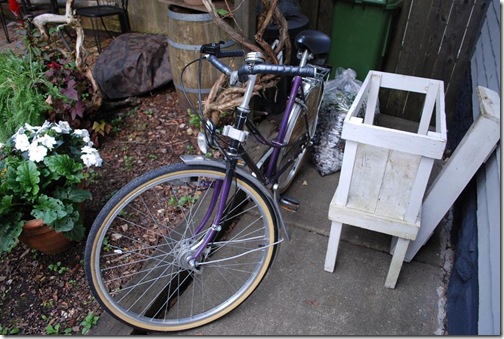 purple bike