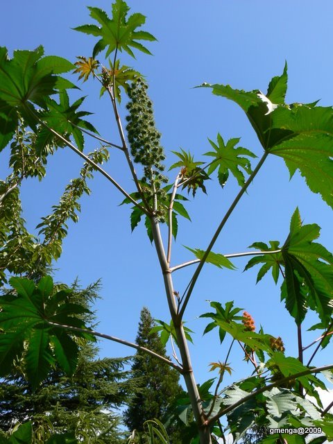 P1140263.JPG