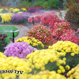 200711 affordable-11.jpg