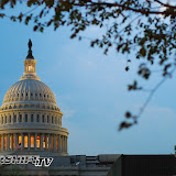 200704 hoop dreams congressional-16.jpg
