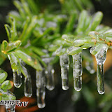 200802 gearshift ice 015.jpg