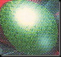 zxeye zxeye