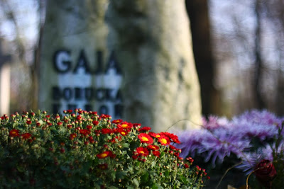 Grażyna Borucka