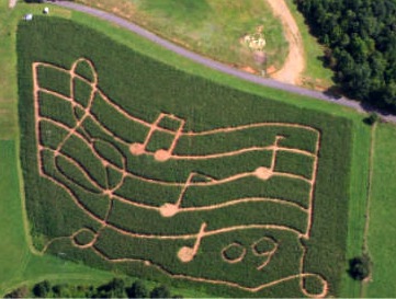 [sam's corn maze 09[5].jpg]