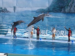 Safari World رحلة سفاري في تايلاند Safari World رحلة سفاري في تايلاند