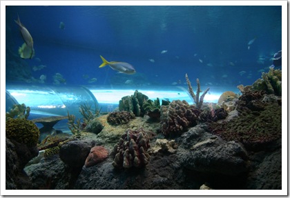 IMG_3989 IMG_3989