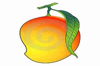المانجو Mango المانجو Mango