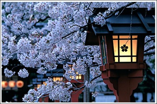 japan japan