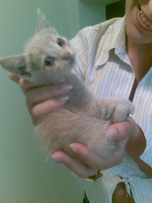 Качена снимка