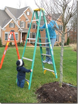 IMG_1606 IMG_1606
