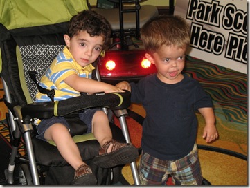 IMG_4509 IMG_4509