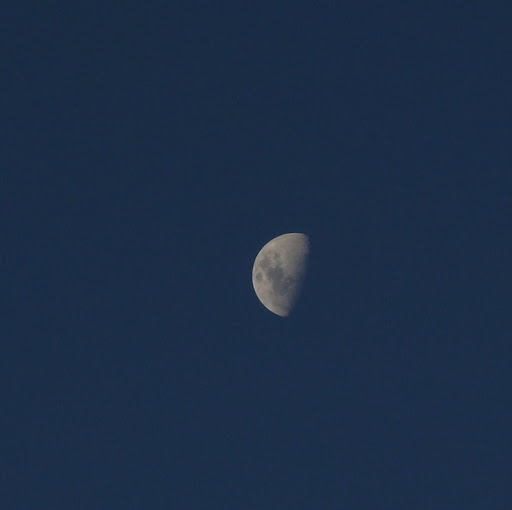 DSC03746.JPG