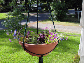 Hanging basket outside the front door.