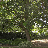 Thousand Oaks Gardening