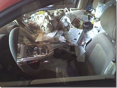 lixo no carro 5