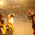 DSC08695.JPG