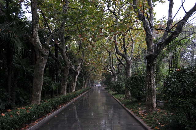 [DSC_16554.jpg]