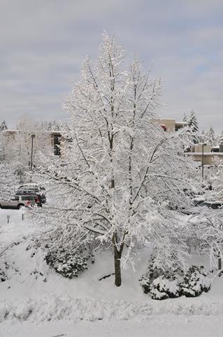[DSC_3205[5].jpg]