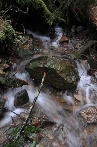 [DSC_3765[4].jpg]