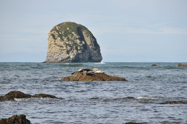 [DSC_43801.jpg]