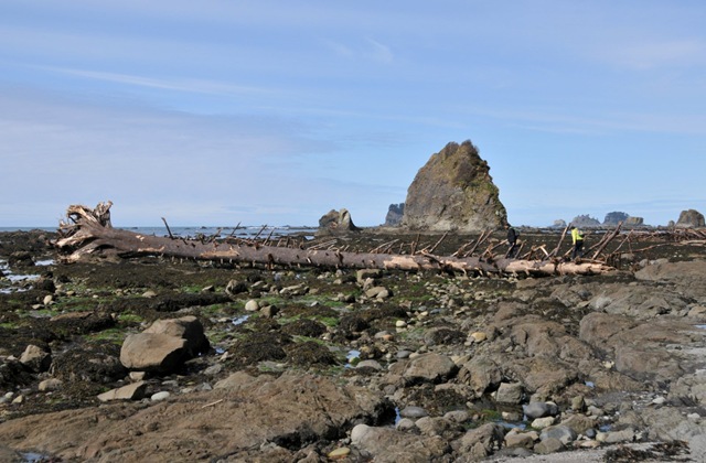 [DSC_4435.jpg]
