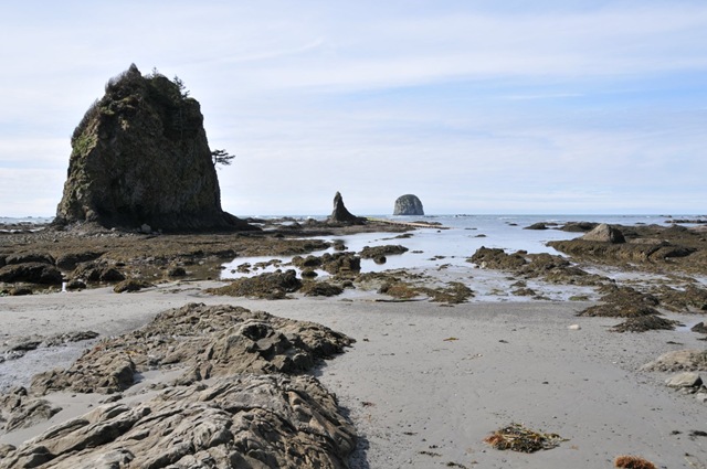 [DSC_44851.jpg]