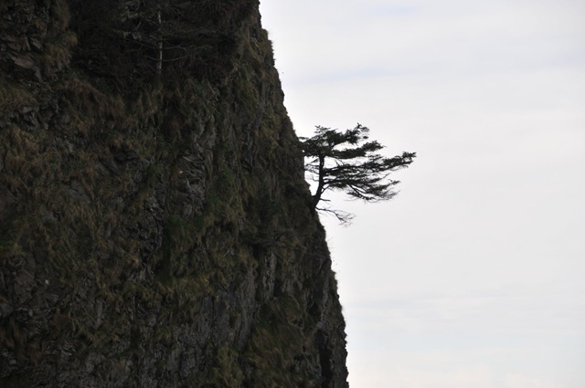 [DSC_44861.jpg]