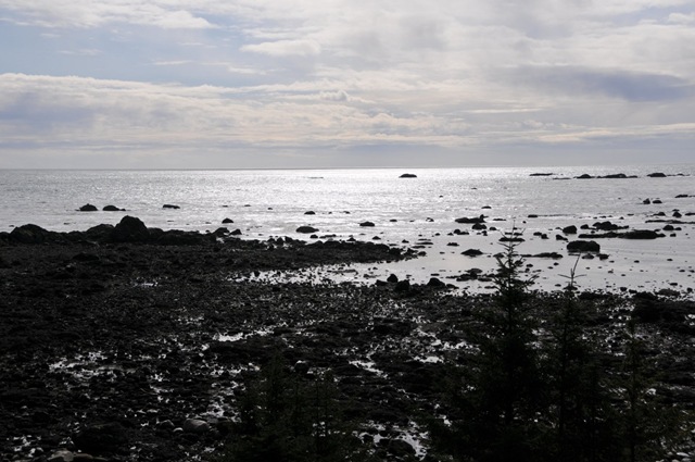 [DSC_46391.jpg]
