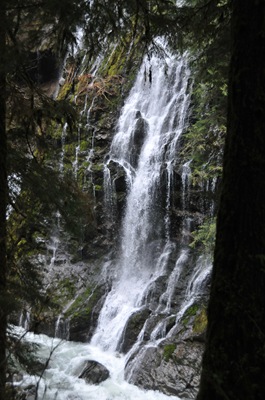 DSC_4865