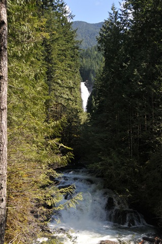 [DSC_50714.jpg]